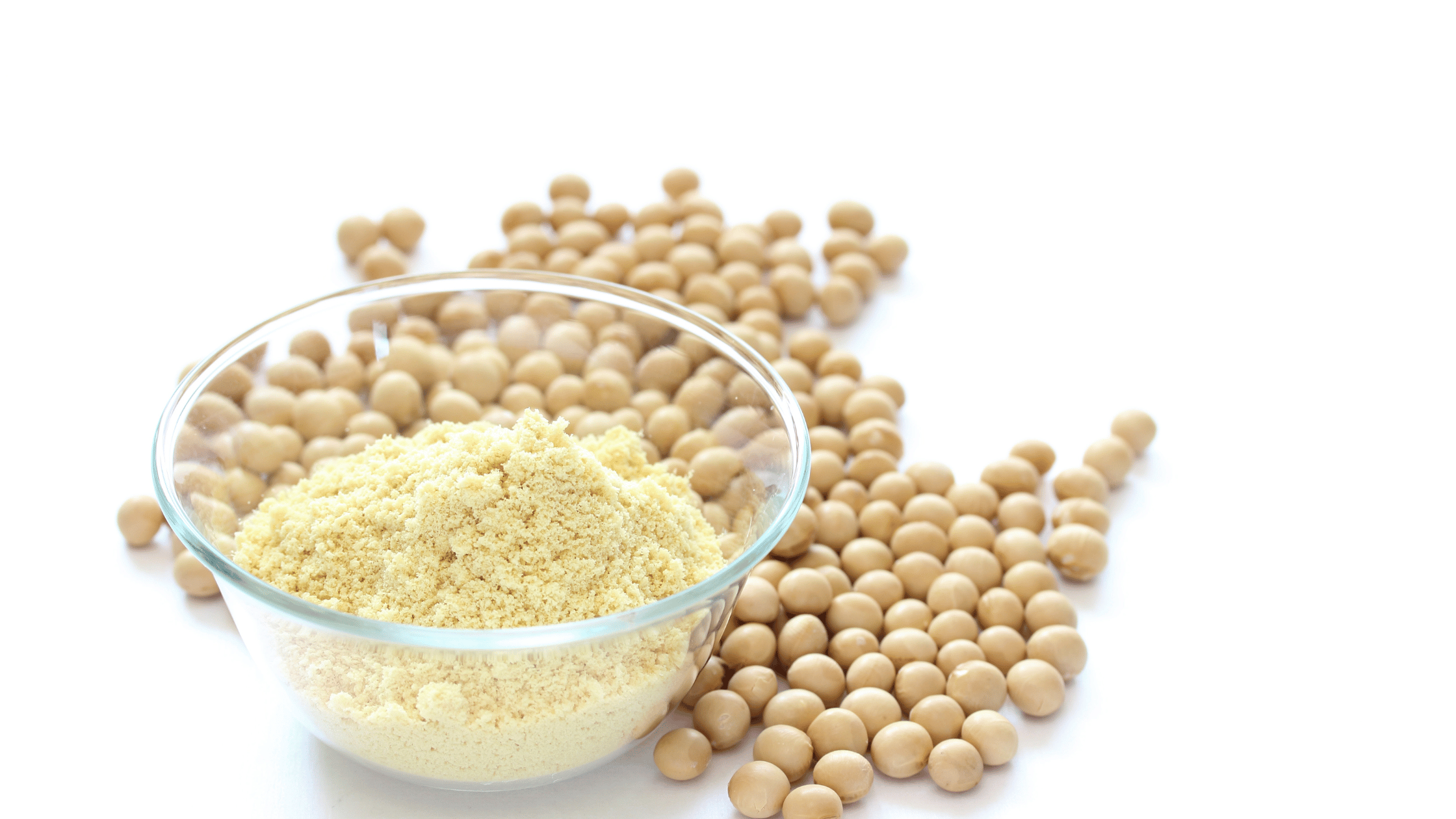 Soy Protein